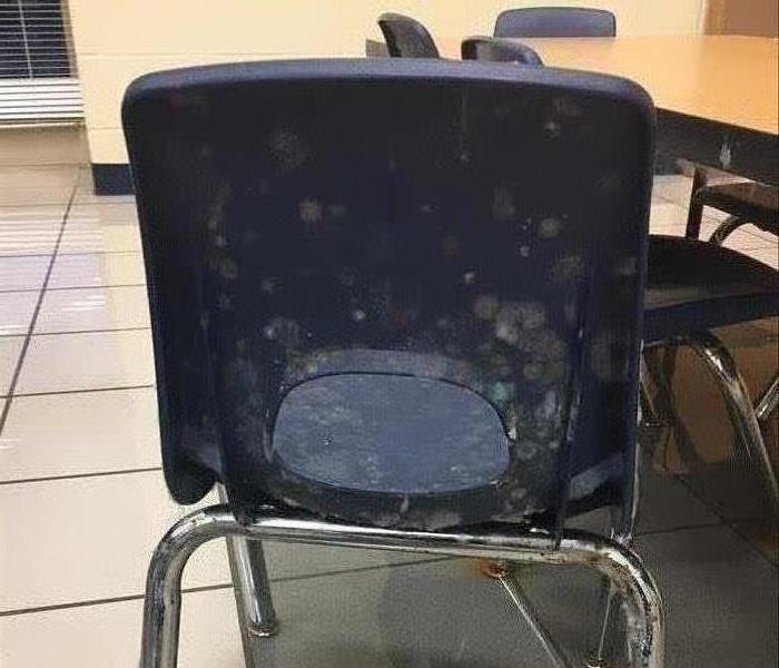 Mold on chair in school.