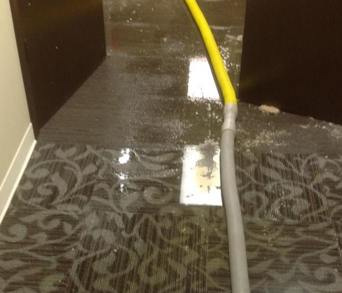 Flooded carpeted floor of hotel.