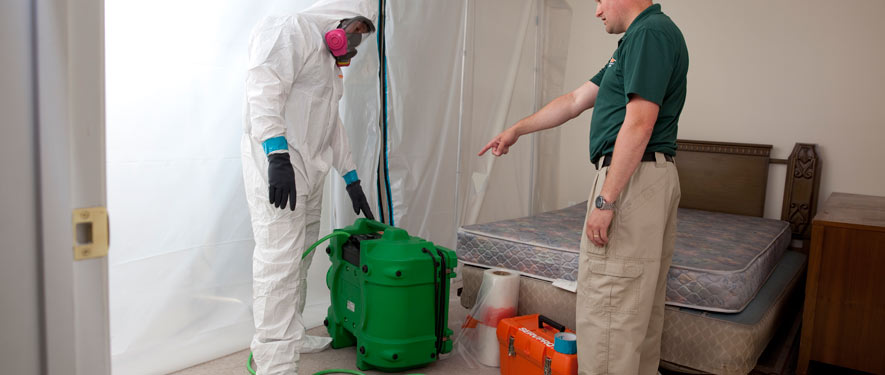 Beaufort, SC mold removal process